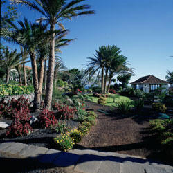 Parador La Gomera gardens