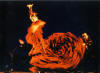 Flamenco dancer